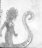 Medusa\'s path